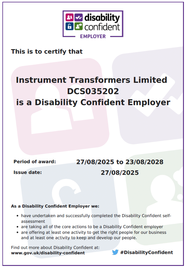 Disability Confident